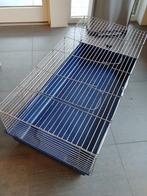 Cavia of konijnenkooi, Dieren en Toebehoren, Kooi, Cavia, Ophalen, Minder dan 60 cm