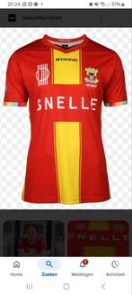 Gezocht match worn matchworn go ahead eagles, Sport en Fitness, Voetbal, Maat XL, Ophalen of Verzenden, Zo goed als nieuw, Shirt