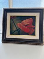 Schilderij rode klaproos, gesigneerd, ingelijst, Ophalen
