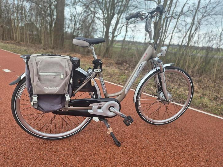 Giant twist go met dubbele accu, Fietsen en Brommers, Elektrische fietsen, Gebruikt, Ophalen of Verzenden