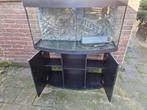 Tekoop Juwel vision 260 met kast, Dieren en Toebehoren, Ophalen of Verzenden, Gebruikt, Leeg aquarium
