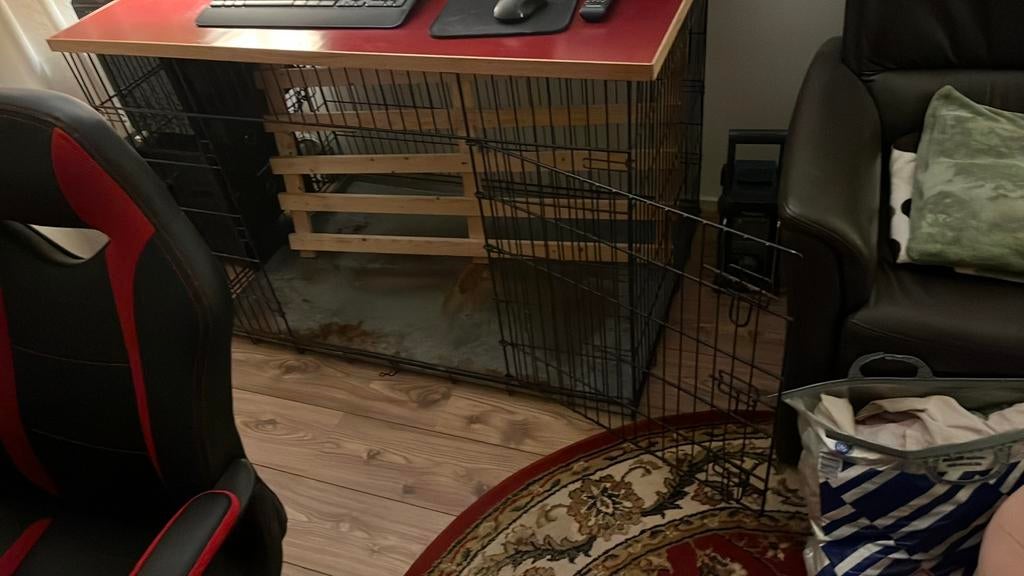 Grote hondenbench, Dieren en Toebehoren, 65 tot 100 cm, Hondenhok, Ophalen of Verzenden, 110 cm of meer