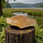 Barnsteen ( SALE SALE SALE), Verzamelen, Ophalen of Verzenden, Mineraal