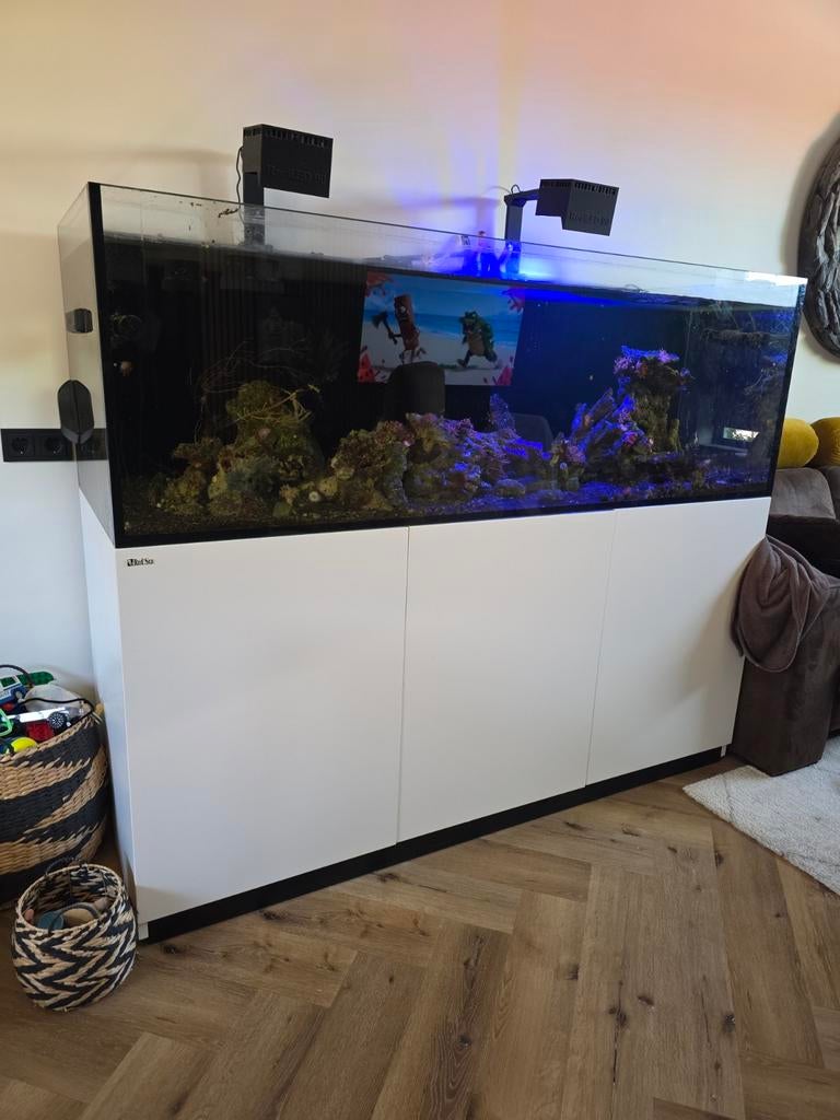 Red sea reefer 750 zoutwater aquarium, Ophalen, Zo goed als nieuw, Leeg aquarium, Overige merken