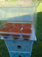 Klein kweek kasje met 6 bloempotjes, Ophalen