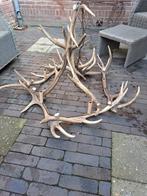 Geweien lamp kroonluchter luster, Huis en Inrichting, Ophalen, Zo goed als nieuw, Minder dan 50 cm