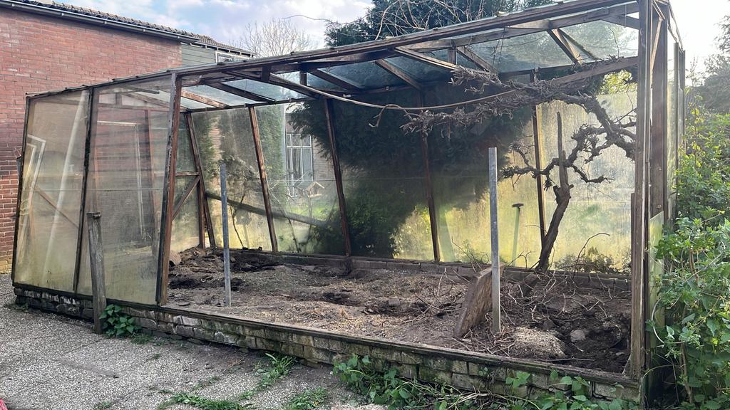 Hardhouten broeikas met veiligheidsglas, Overige materialen, Gebruikt, Kweekkas, Ophalen of Verzenden