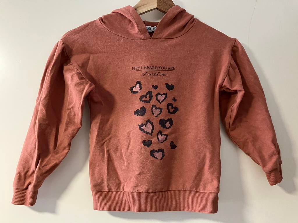 Dirkje Trui met capuchon maat 116 voor meisje met hartjes, Ophalen of Verzenden, Zo goed als nieuw, Meisje, Trui of Vest