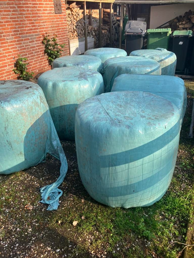 Midibalen, Dieren en Toebehoren, Dierenvoeding, Ophalen of Verzenden, Vee