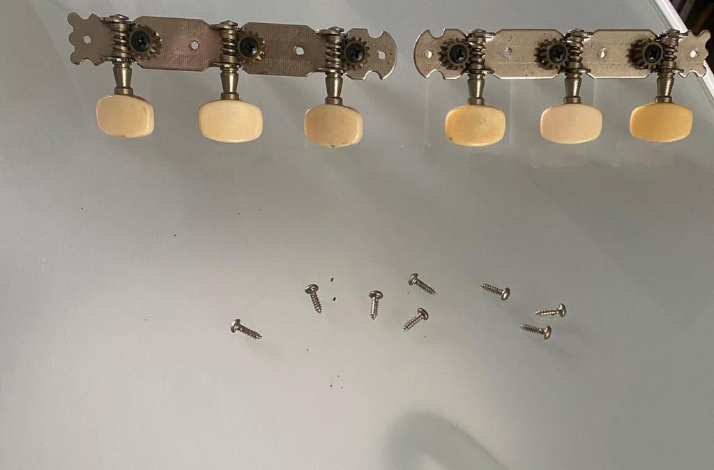 Gitaar stemmechanieken set (6 stuks) met schroefjes, Ophalen of Verzenden, Gebruikt, Akoestische gitaar