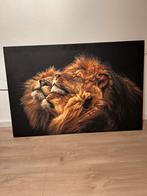 Canvas doek groot, Ophalen