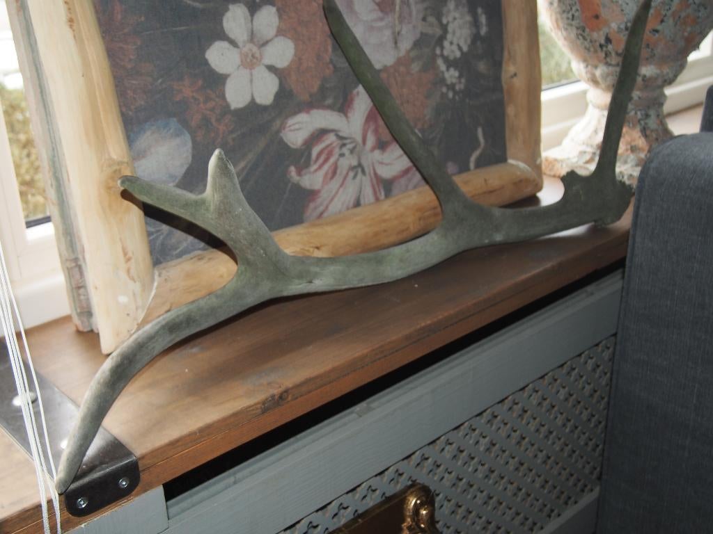 Grote Gewei, Verzamelen, Dierenverzamelingen, Ophalen of Verzenden, Gebruikt, Hert, Gewei of Kop