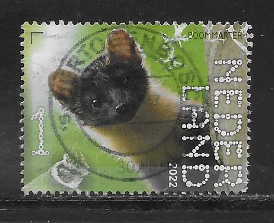 2022, Leuvenumse Bossen, Boommarter [4045] (K2203), Ophalen of Verzenden