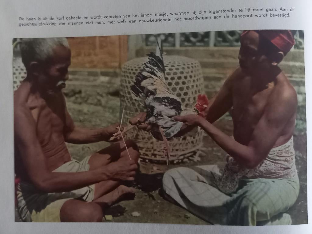 Bali Indonesië, Ophalen of Verzenden, 20e eeuw of later, Gelezen