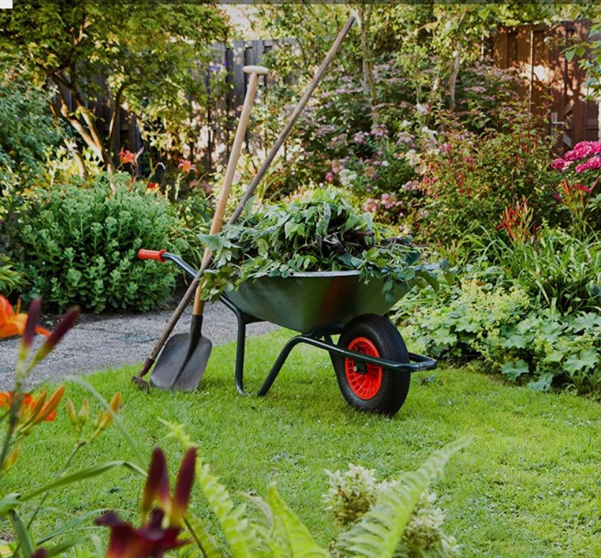 Tuin onderhoud, Ophalen of Verzenden