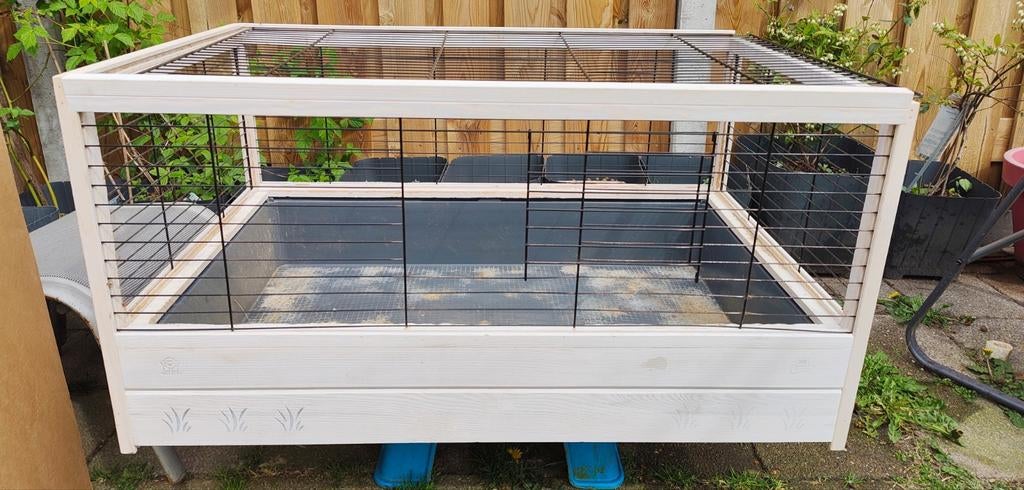 Ferplast arena cavia kooi te koop., Dieren en Toebehoren, Knaagdieren en Konijnen | Hokken en Kooien, Kooi, Gebruikt, 75 tot 110 cm