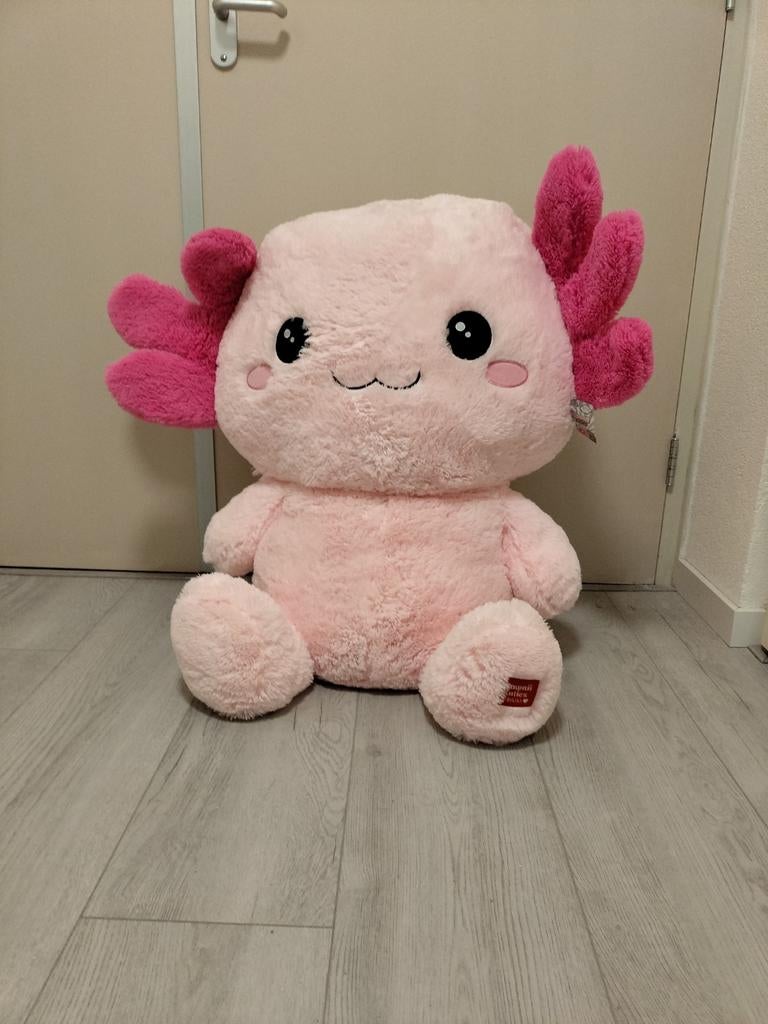 Reuze knuffel, Ophalen of Verzenden, Overige typen