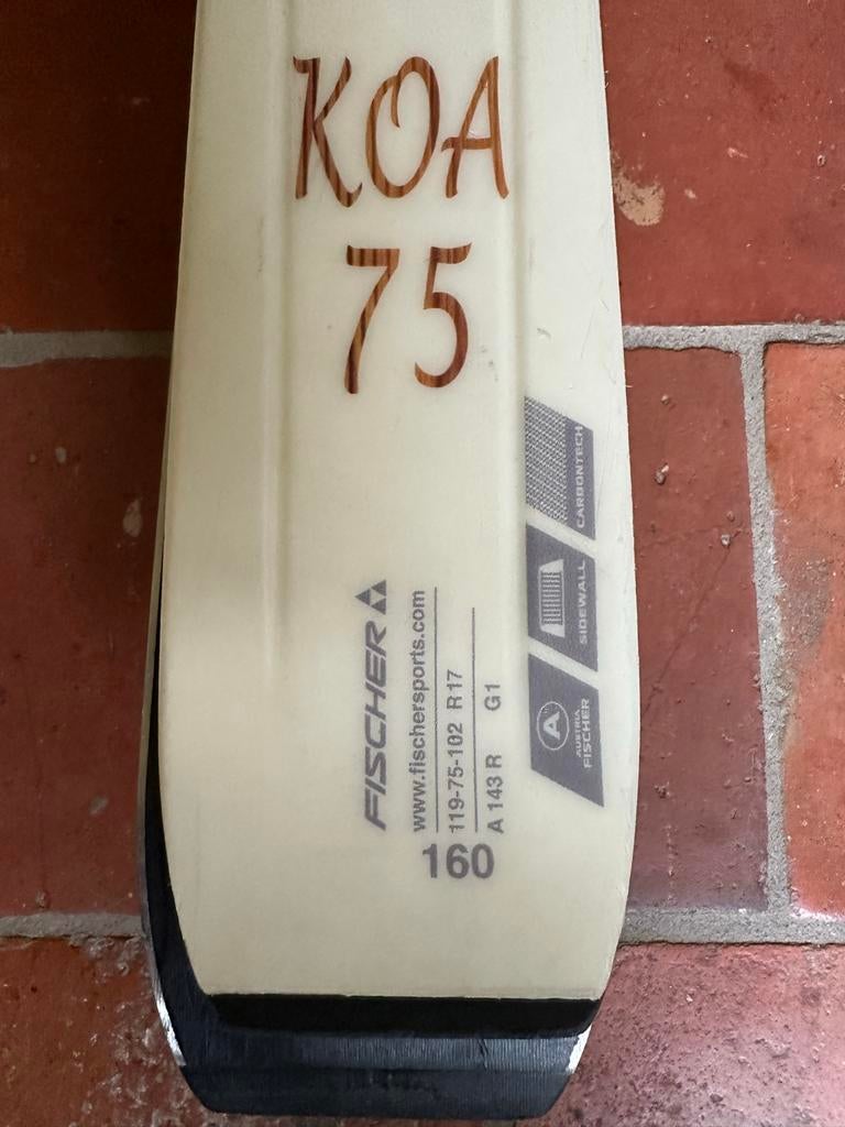 Ski en skischoenen set, 140 tot 160 cm, Ophalen of Verzenden, Skiën, Ski's