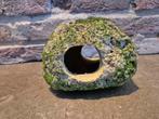 Aquarium ornament, Dieren en Toebehoren, Ophalen, Plant(en), Steen of Hout