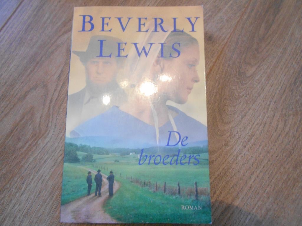 Beverly Lewis De broeders, Boeken, Romans, Ophalen of Verzenden, Zo goed als nieuw