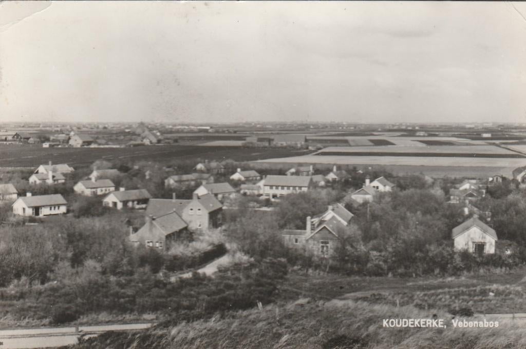 koudekerke- vebenabos, Verzamelen, Ansichtkaarten | Nederland, Ophalen of Verzenden, 1940 tot 1960, Friesland