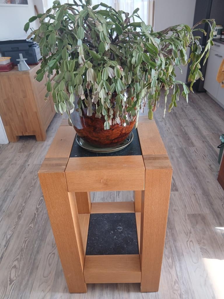 Twee identieke Plantentafels of bijzettafels, Ophalen, Vierkant, 45 tot 60 cm