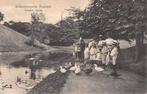 Scheveningsche Bosjes Eendjes voeren Vissen Kind Den Haag, Verzenden, 1920 tot 1940, Gelopen, Zuid-Holland