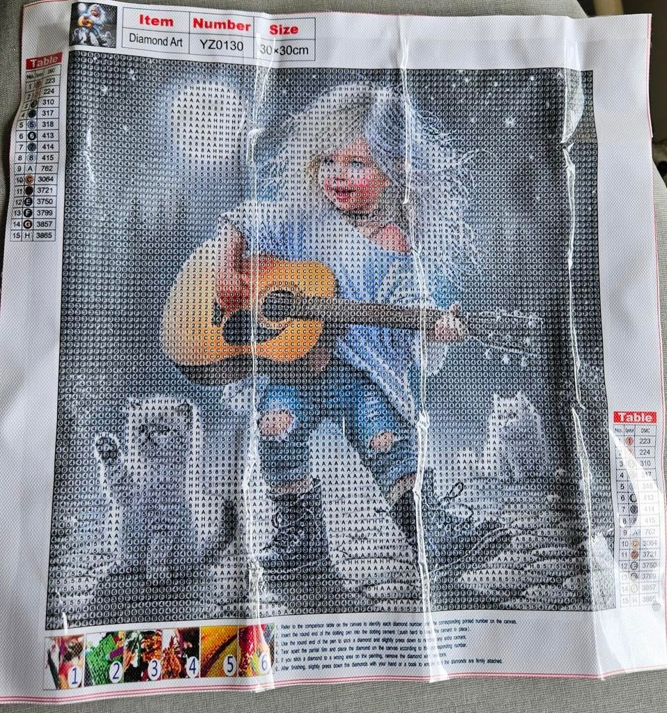 Diamond painting, Ophalen of Verzenden, Nieuw, Borduurpakket