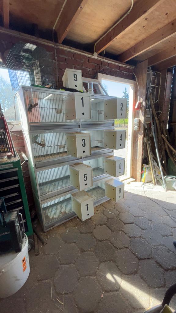 Van keulen broedhok/kweekkooi, Dieren en Toebehoren, Vogels | Hokken en Kooien, Ophalen of Verzenden, Zo goed als nieuw, Hout