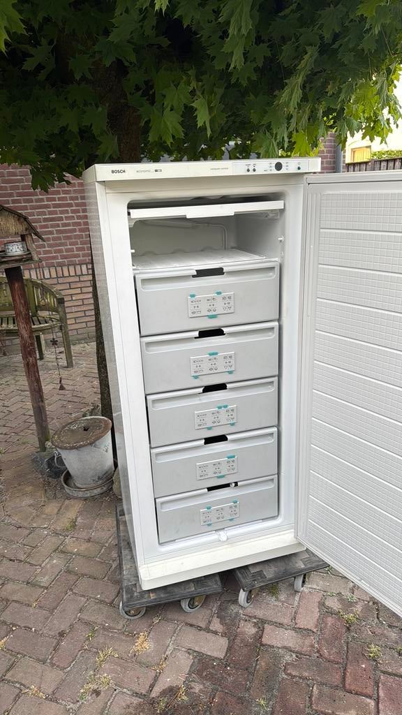 Bosch diepvries werk prima GRATIS, Witgoed en Apparatuur, Vriezers en Diepvrieskisten, Ophalen, Zo goed als nieuw, 60 tot 90 cm