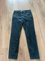 Betty Barclay zwarte broek maat L, Maat 38/40 (M), Zwart, Ophalen of Verzenden, Zo goed als nieuw