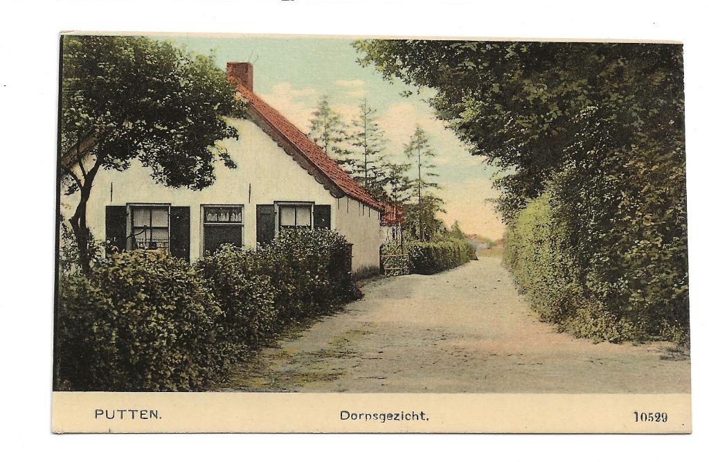 BF310-Putten,Dorpsgezicht,Nauta 10529, Verzenden, 1940 tot 1960, Ongelopen, Gelderland
