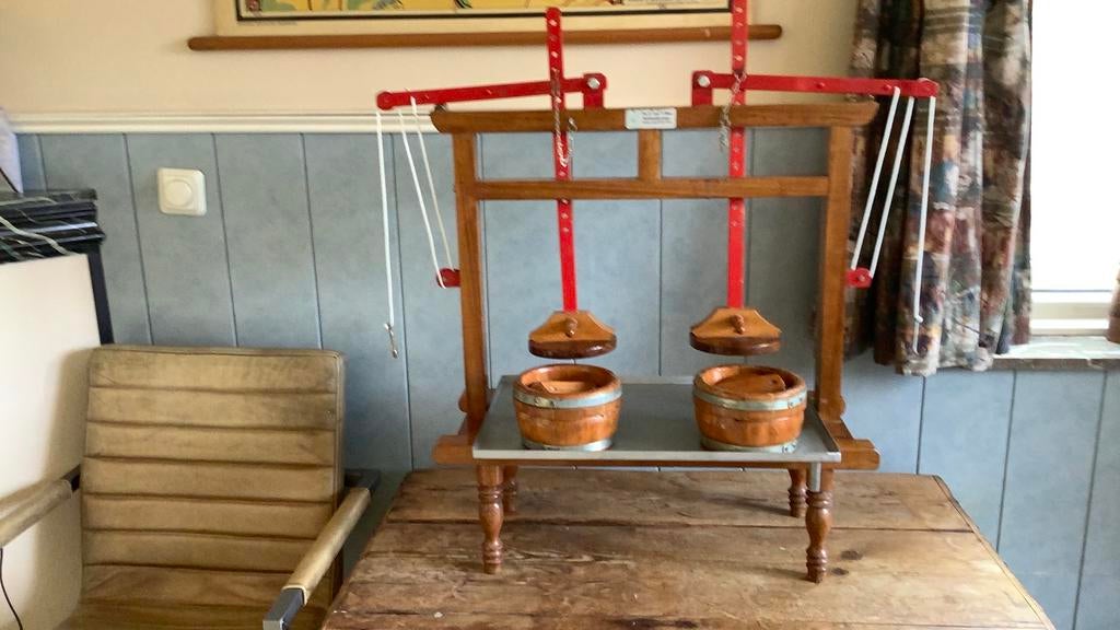 Kaaspers, Vrouwelijk, Geit