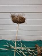 instekers vogelnest met eieren 12x, Ophalen of Verzenden, 'T Olde Gre-j, Info@toldegrej.nl, Endepoelstraat 20f Didam