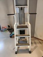 Technogym easy power station isotonic chin dip, Sport en Fitness, Ophalen, Technogym, -, -