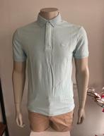 Lacoste Regular Fit Polo - Lichtblauw - Maat L, Ophalen of Verzenden, Nieuw, Maat 52/54 (L), Blauw