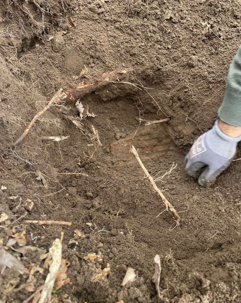 Bodemvondst Grote collectie-7 kg-Samen:35 euro, Ophalen of Verzenden