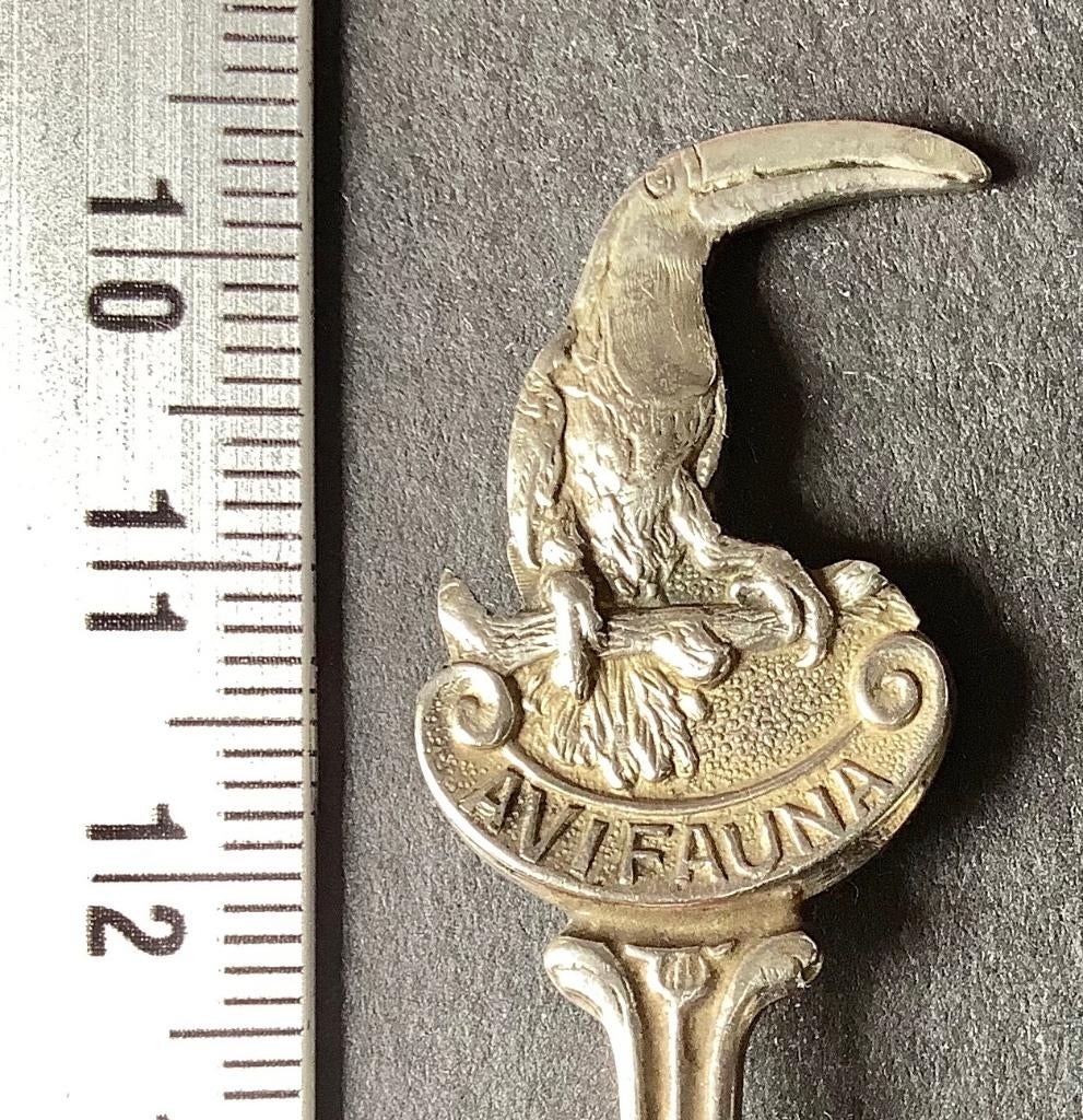 lepel, Avifauna, toekan (L3, Ophalen of Verzenden, Gebruikt