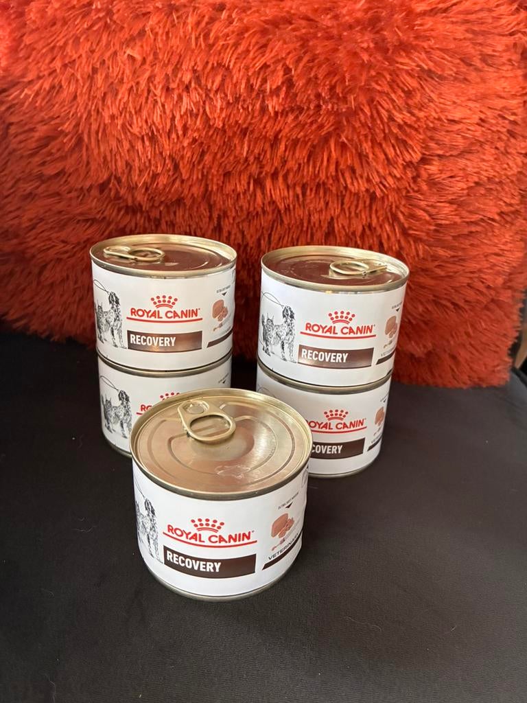 Vijf blikjes recoveryvoer hond, Dieren en Toebehoren, Ophalen, Hond