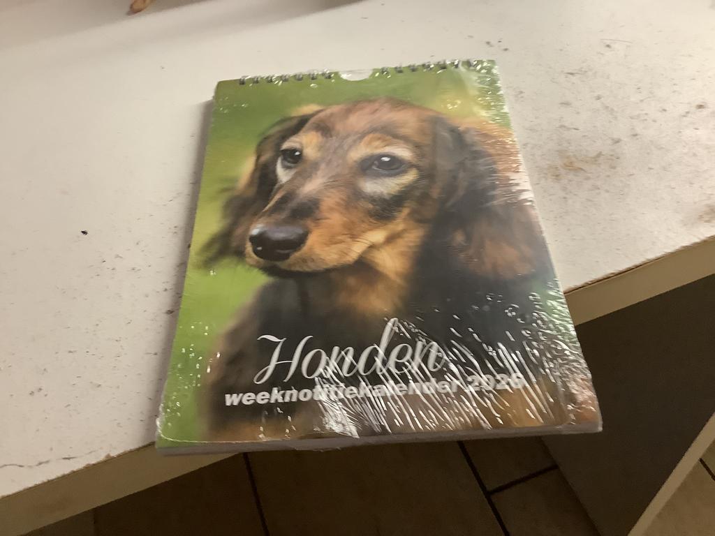 Hondenkalender.    2026.     Nieuw., Dieren en Toebehoren, Ophalen of Verzenden, Nieuw
