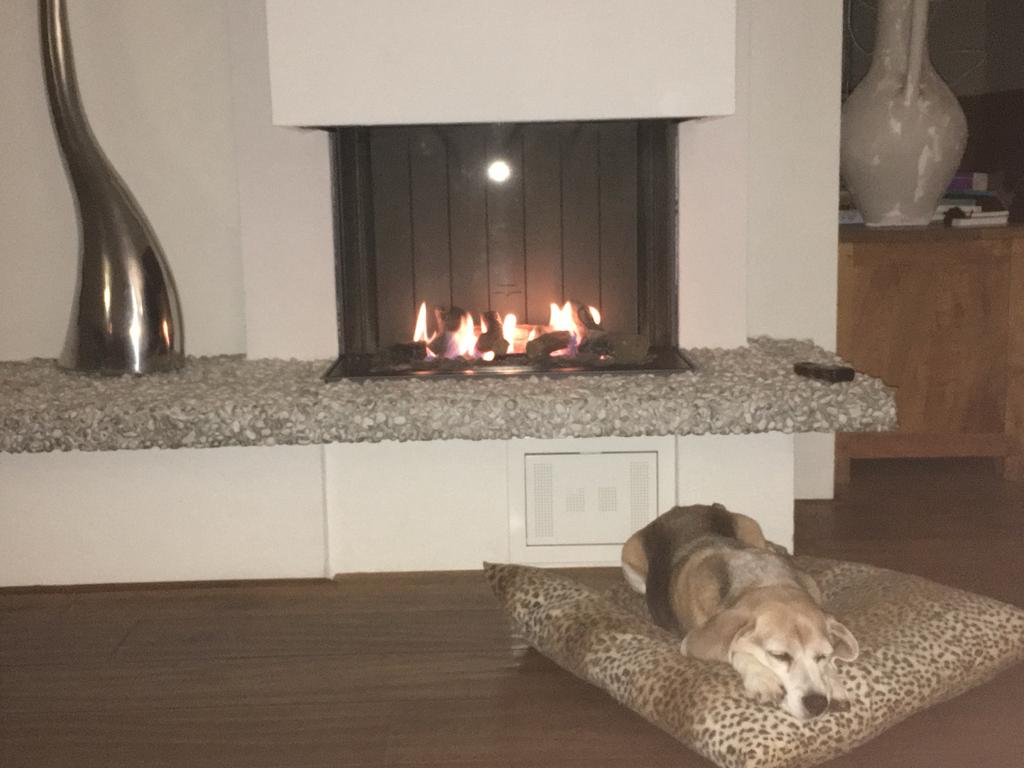 Gashaard Belfire - Inbouw met afstandsbediening, Ophalen, Gebruikt, Inbouwhaard, Gashaard