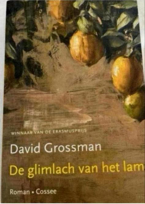 De glimlach van het lam - David Grossman (Roman), Boeken, Ophalen of Verzenden, Zo goed als nieuw