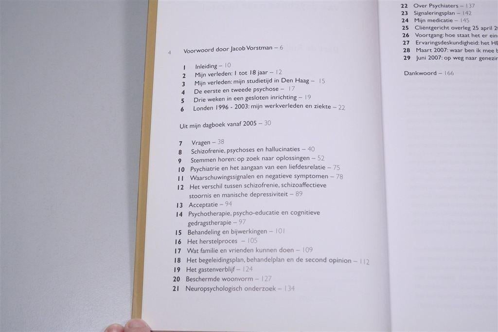 Keerpunt — Van psychose naar herstel, Ophalen of Verzenden, Zo goed als nieuw