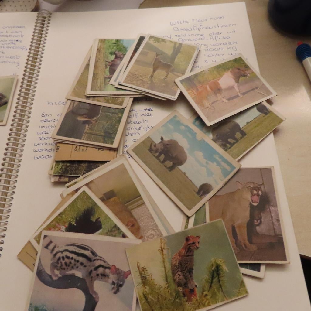 plaatjes voor albums  Virginia, van Delft, Molenaars, Rizla, Verzenden, Gebruikt, Meerdere plaatjes