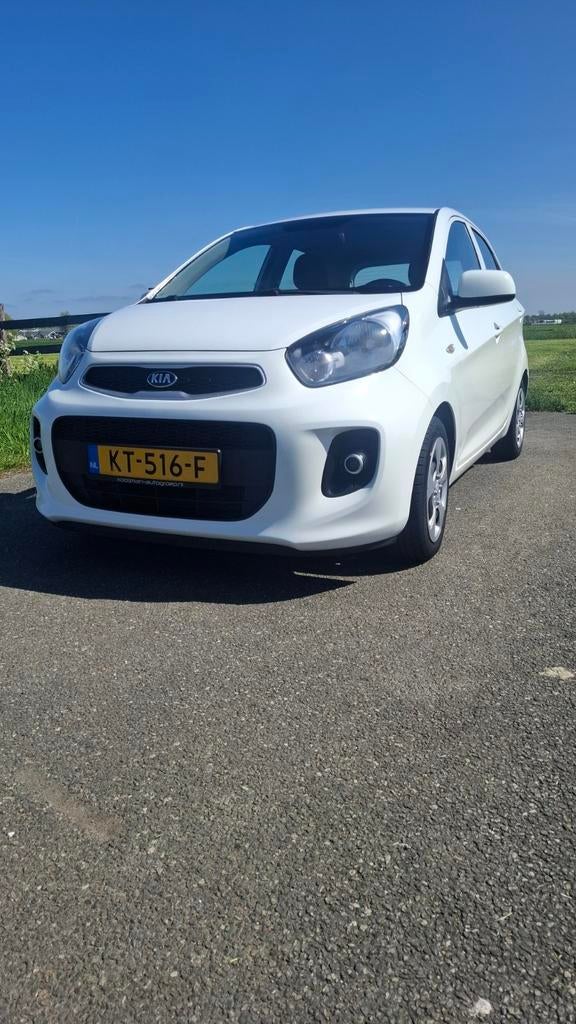 Kia Picanto 1.0 Cvvt 66 PK 5D 2016 Wit, Auto's, Kia, Stof, Zwart, 4 stoelen, Wit