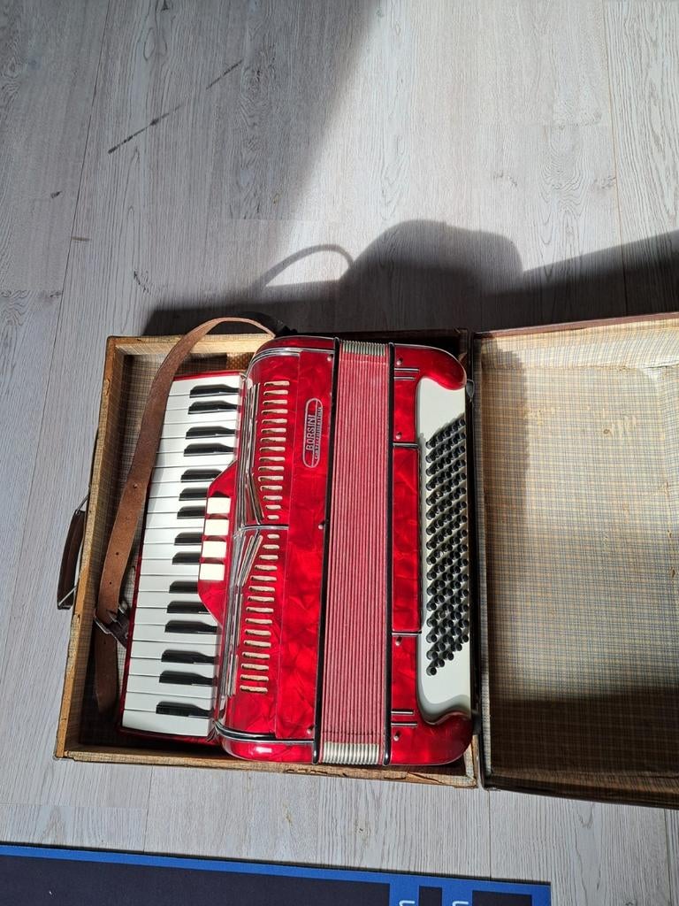 Borsini accordeon, Muziek en Instrumenten, Accordeons, Ophalen, Gebruikt, 120-bas, Overige merken