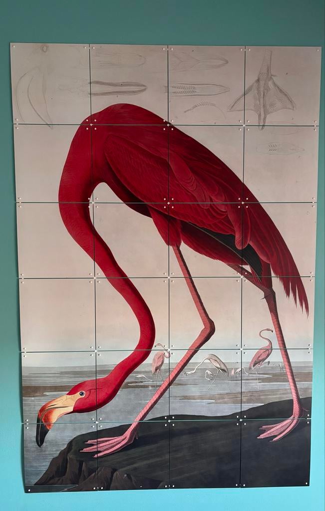 IXIXI Flamingo wanddecoratie 120x80, Huis en Inrichting, Woonaccessoires | Schilderijen, Tekeningen en Foto's, Gebruikt, Print