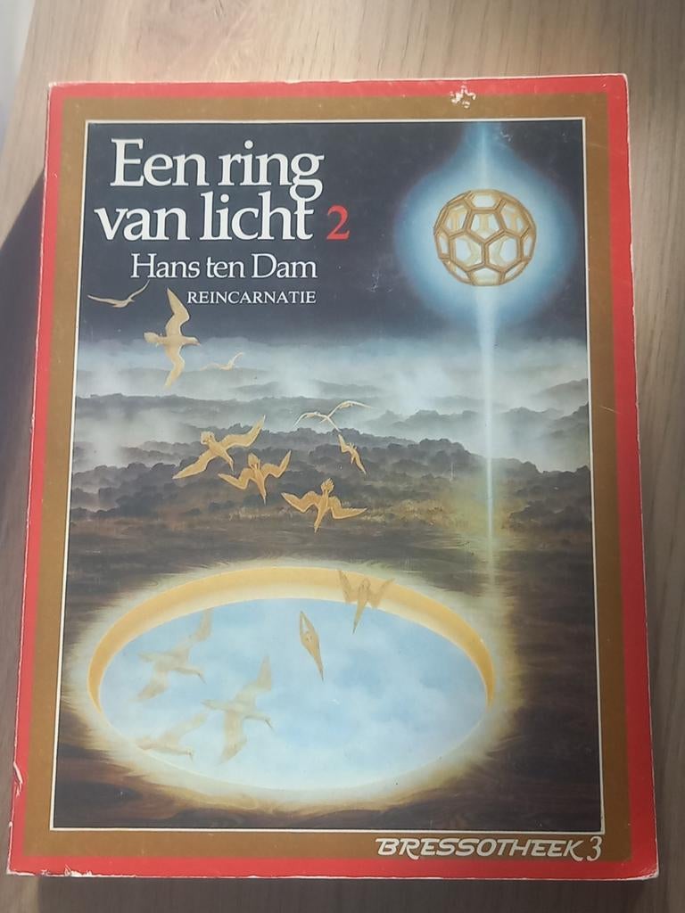 Een Ring van Licht 2 - Hans ten Dam, Boeken, Achtergrond en Informatie, Spiritualiteit algemeen, Hans ten Dam, Ophalen of Verzenden