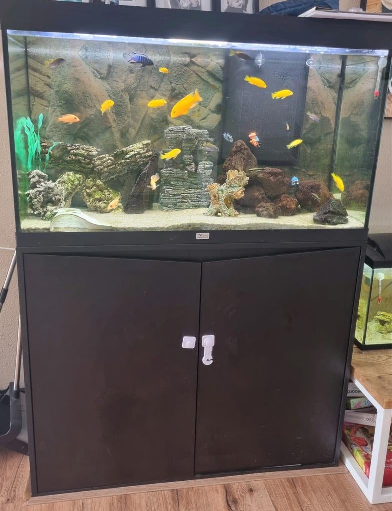 Aquatlantis aquarium -veel accessoires-malawi chicliden-, Dieren en Toebehoren, Vissen | Aquaria en Toebehoren, Ophalen, Zo goed als nieuw