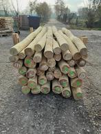 Spintvrij geschuurde robinia, duikelpalen 3 mtr 10/12 dik, Ophalen, Nieuw, 250 cm of meer, Palen